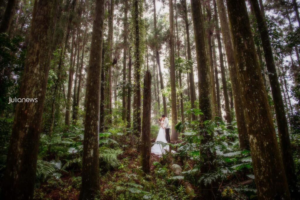 Julianews 婚紗攝影 微光清境1